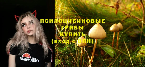 MDMA Premium VHQ Алзамай