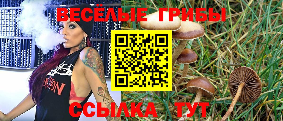 Псилоцибиновые грибы GOLDEN TEACHER  Псилоцибиновые грибы Psilocybe  Елизово  Вход с VPN 